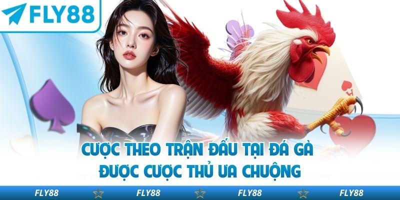 Cược theo trận đấu tại đá gà được cược thủ ưa chuộng