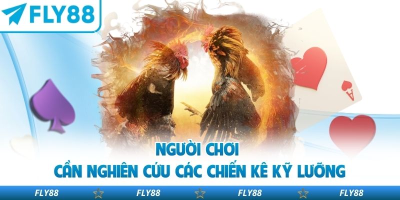 Người chơi cần nghiên cứu các chiến kê kỹ lưỡng