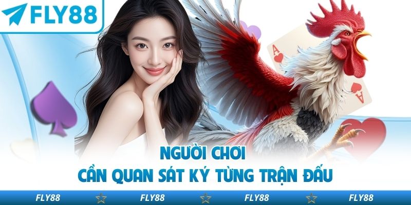 Người chơi cần quan sát kỹ từng trận đấu
