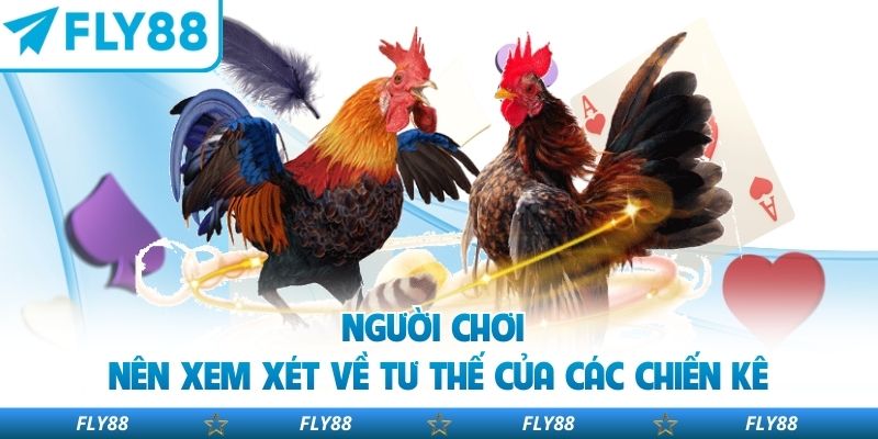 Người chơi nên xem xét về tư thế của các chiến kê