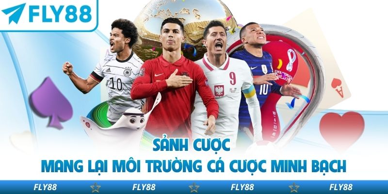 Sảnh cược mang lại môi trường cá cược minh bạch