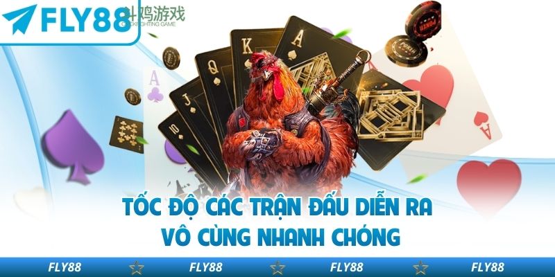 Tốc độ các trận đấu diễn ra vô cùng nhanh chóng