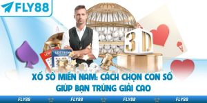 Xổ Số Miền Nam: Cách Chọn Con Số Giúp Bạn Trúng Giải Cao